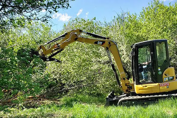 Tree Removal, Land Clearing & Backhoe Services