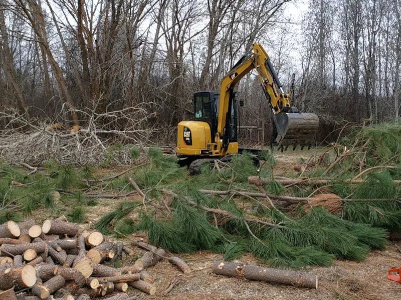 Tree Clearing Cambridge, ID