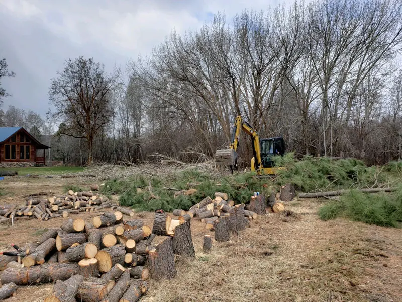 Tree Clearing Services Cambridge, ID